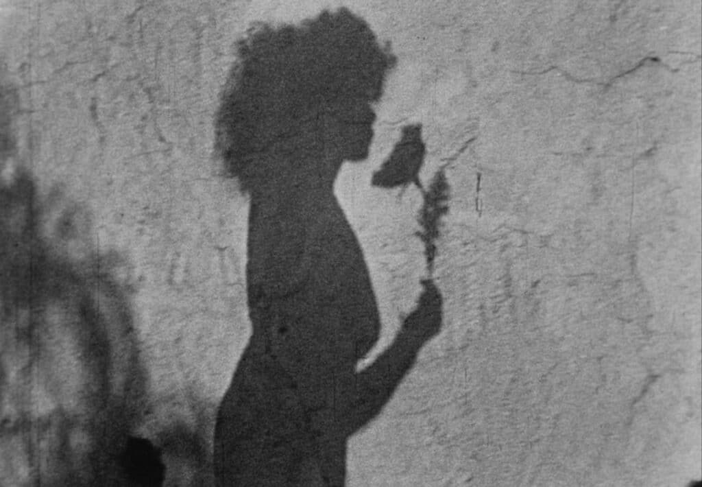 Espacios liminales: artistas en los cines, cineastas en los museos