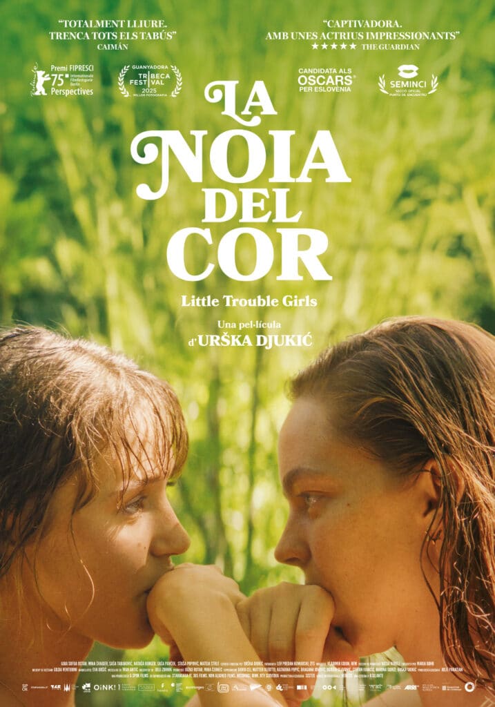 La noia del cor: D’hormones i harmonies